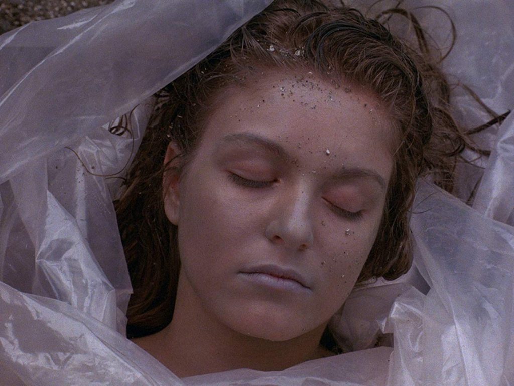 Loud and Clear Reviews Twin Peaks Laura Palmer beginner's guide David Lynch