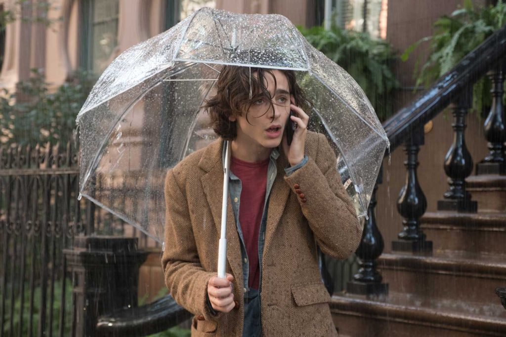 loud and clear reviews a rainy day in new york woody allen timothee chalamet