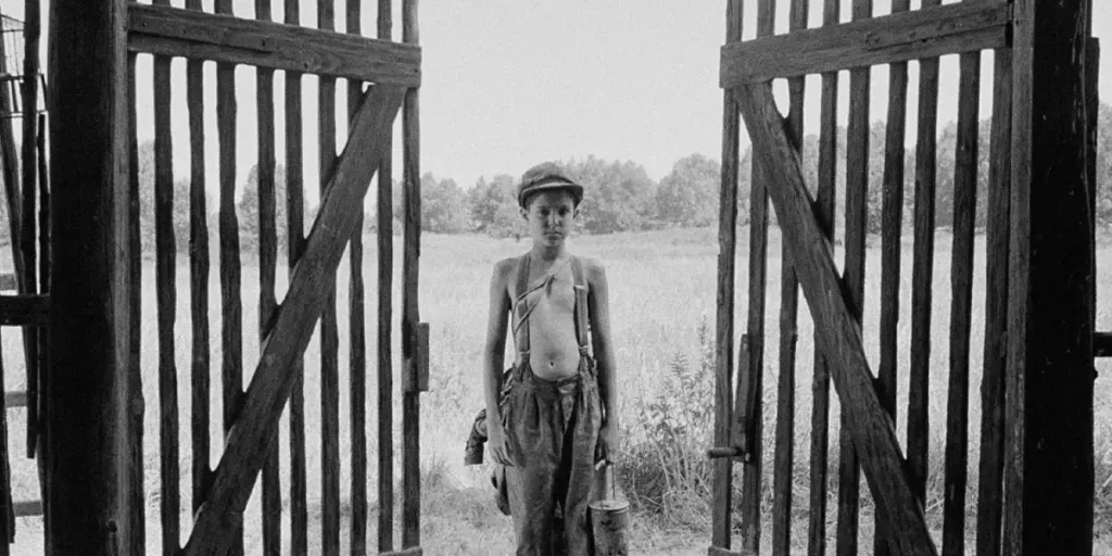 A child stand by wooden gates in The Painted Bird