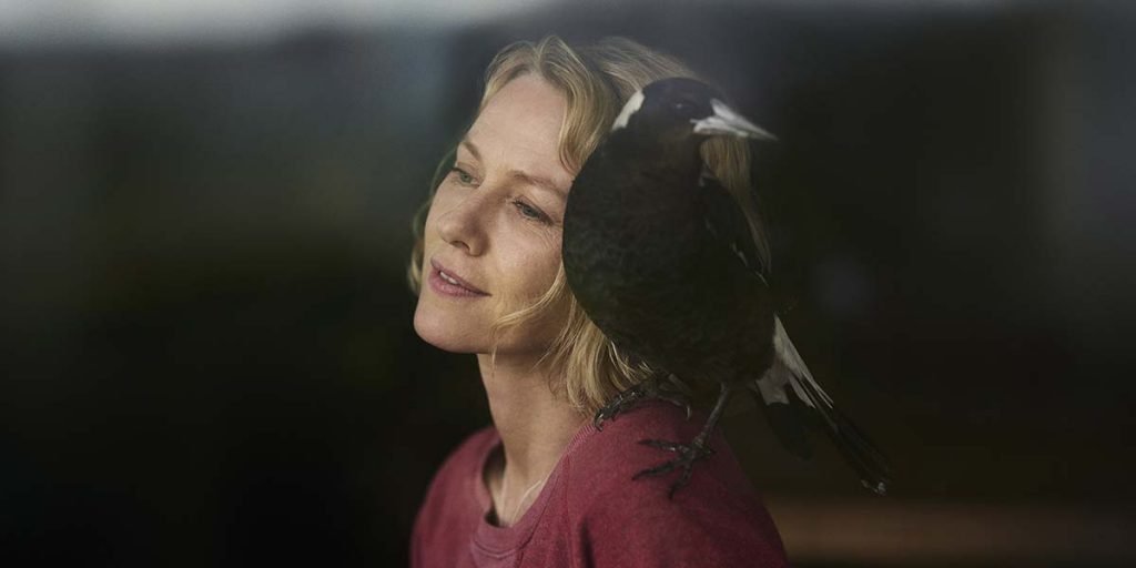 loud and clear reviews  penguin bloom naomi watts