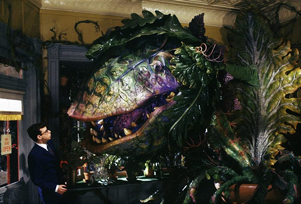 loud and clear reviews guide to horror little shop of horrors