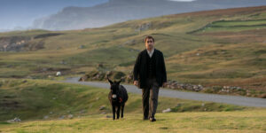 Colin Farrell and a donkey in the film THE BANSHEES OF INISHERIN