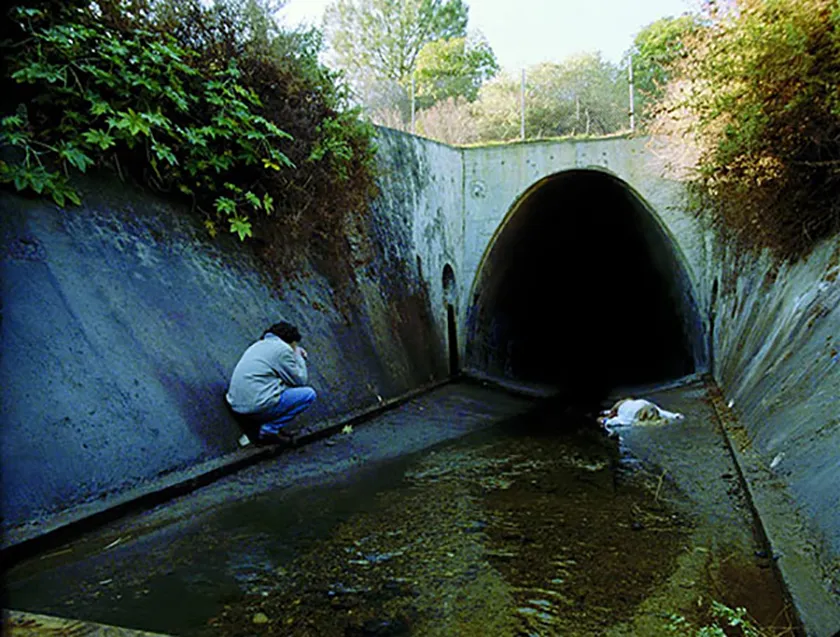 Brick (2005), one of all the Rian Johnson movies ranked from worst to best by Loud And Clear Reviews