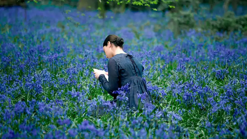 Abbie Cornish reading in a field of lilies in a still from the film Bright Star