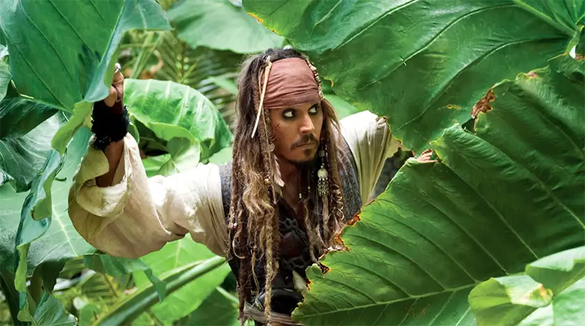 Johnny Depp hides between leaves as Jack Sparrow in Pirates of the Caribbean: On Stranger Tides