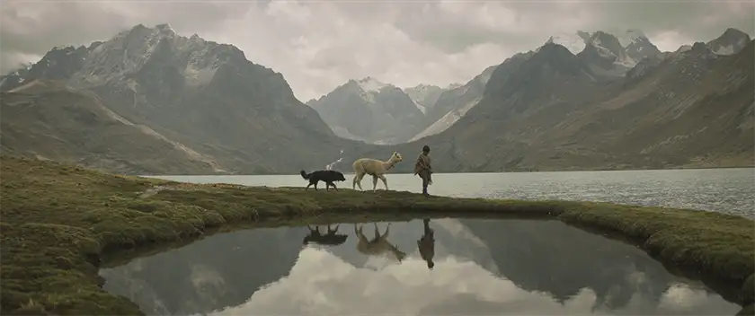 Alberth Merma, a llama and a dog walk across a river in the film Raiz (Through Rocks and Clouds)