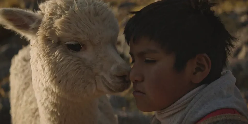 Alberth Merma with his face close to a llama in the film Raiz (Through Rocks and Clouds)