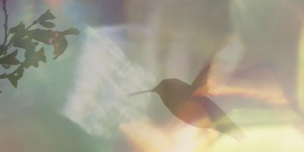 a hummingbird flies with sparkles of light around it in the film Every Little Thing
