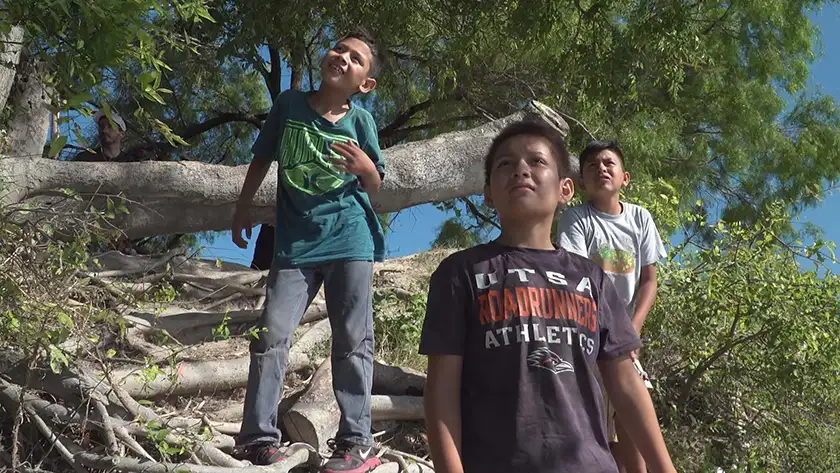 Three boys in the woods looking up in the documentary film The In Between
