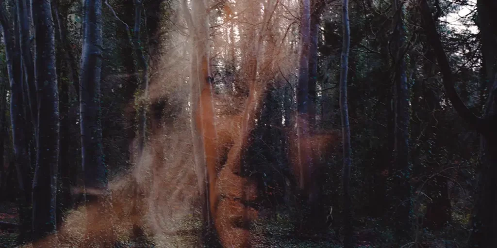 The face of a woman is overlayed on a shot of some trees in the horror film All You Need is Death