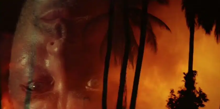 A faded face of a man is put upside down on top of a photo of palm trees and fire in Apocalypse Now, one of all Francis Ford Coppola movies ranked from worst to best by Loud and Clear Reviews