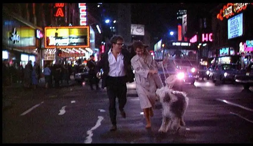 A man, a woman and a dog walk in the middle of the road at night with neon lights behind them in the film You're a Big Boy Now, one of all Francis Ford Coppola movies ranked from worst to best by Loud and Clear Reviews
