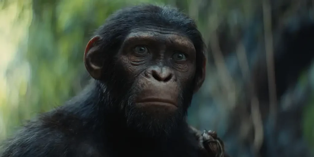 A monkey looks sad in KINGDOM OF THE PLANET OF THE APES