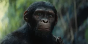 A monkey looks sad in KINGDOM OF THE PLANET OF THE APES