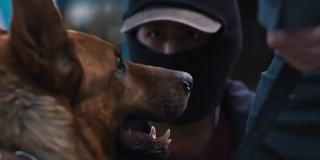 A german shepherd and a man with a covered face behind him in the movie The Dog Thief