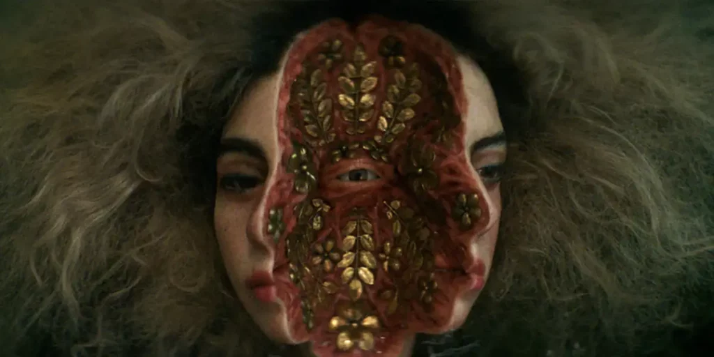 A woman's face is split in two and there's an eye surrounded by golden leaves inside it in the film She Loved Blossoms More