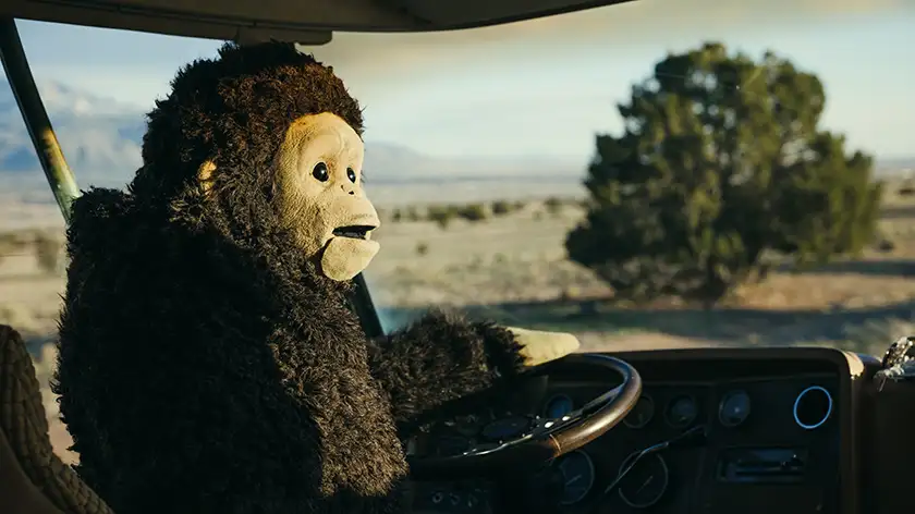 a monkey drives in Nina Conti's 2024 film Sunlight