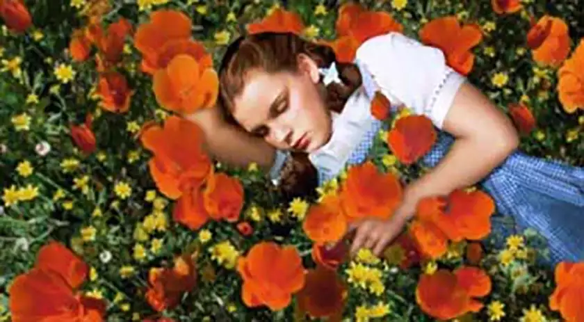 The poppies scene in The Wizard of Oz (Warner Bros. Pictures)