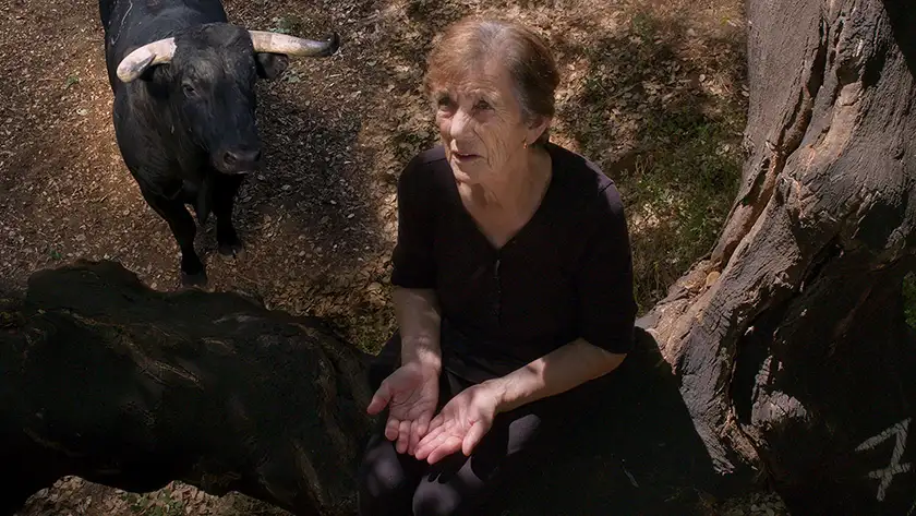 An old woman sits on the ground with  her palms up and a black bull next to her in the film Fire of Wind