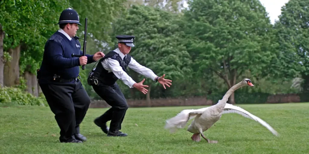 Simon Pegg and Nick Frost try to catch a swan in the park in Hot Fuzz