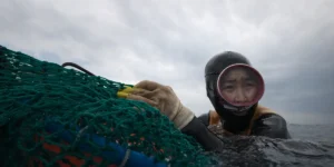 A haenyeo diver of South Korea’s Jeju Island in “The Last of the Sea Women”