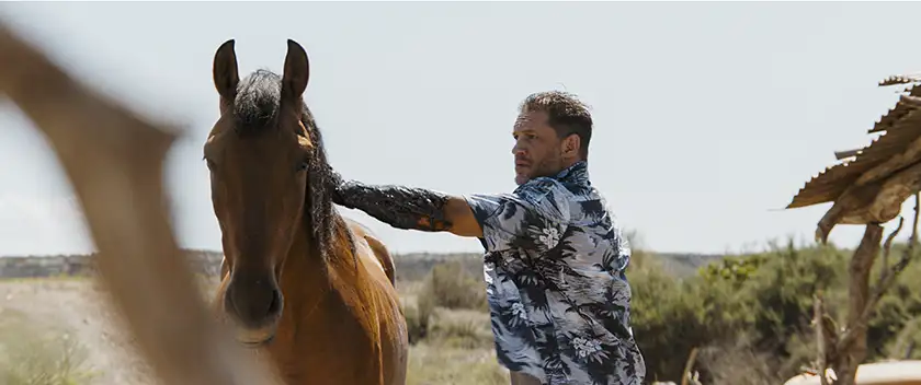 Tom Hardy strokes a horse in Venom: The Last Dance