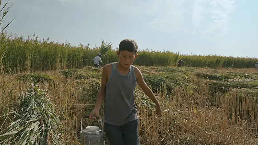 A boy carries a bucket in a hay field in the film Bauryna Salu