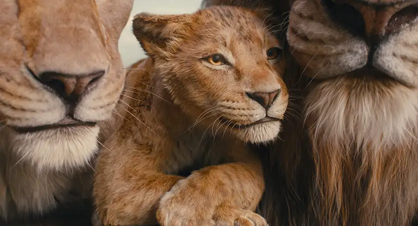 (L-R): Afia (voiced by Anika Noni Rose), Mufasa (voiced by Braelyn Rankins), and Masego (voiced by Keith David) in Disney’s live-action Mufasa: The Lion King