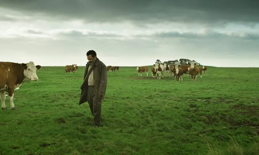 Georges Khabbaz in a field of cows in Yunan by Ameer Fakher Eldin