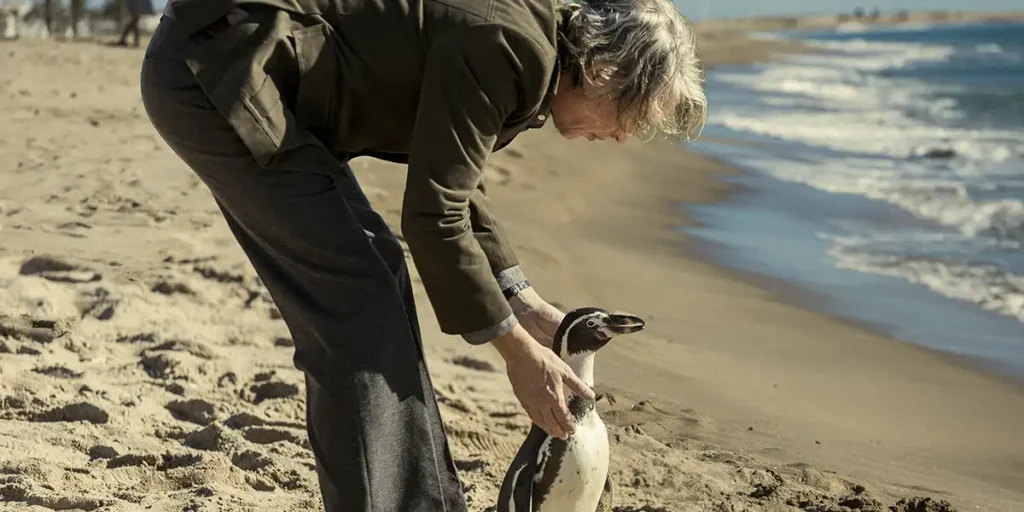 STEVE COOGAN as Tom Michel and BABA/RICHARD the penguin as Juan Salvador are on the beach, in front of the sea, in The Penguin Lessons