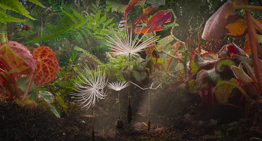 Four dandelion seeds are surrounded by colorful nature in a still from the film Dandelion's Odyssey (Planètes)