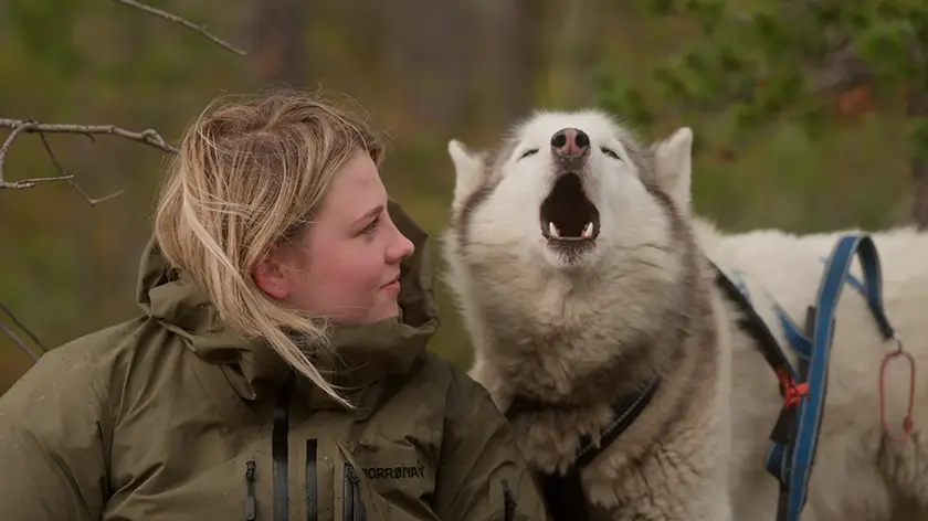 Hege sits in a forest looking at a howling dog named Odin next to her in the 2025 documentary movie Folktales, from directors Heidi Ewing and Rachel Grady