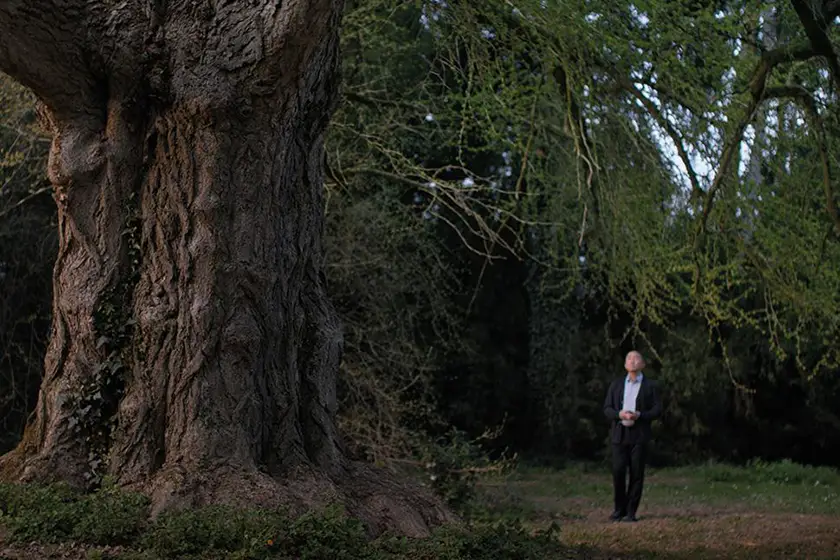 Silent Friend, one of the 25 Movies to Watch at the 2025 Venice Film Festival according to Loud and Clear Reviews