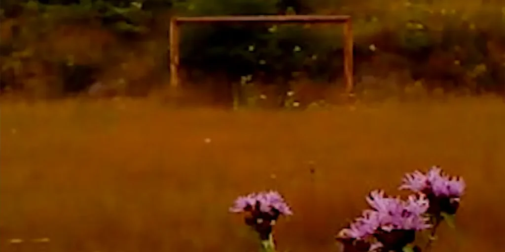 Pink flowers overlook an improvised football goal in a still from the film Dry Leaf