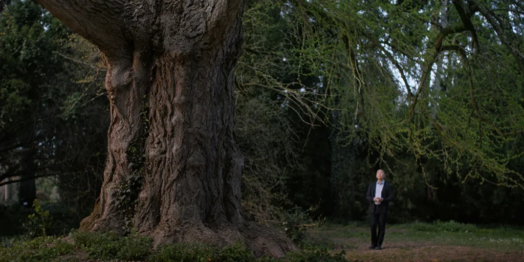 A man looks at a tree in a still from Silent Friend
