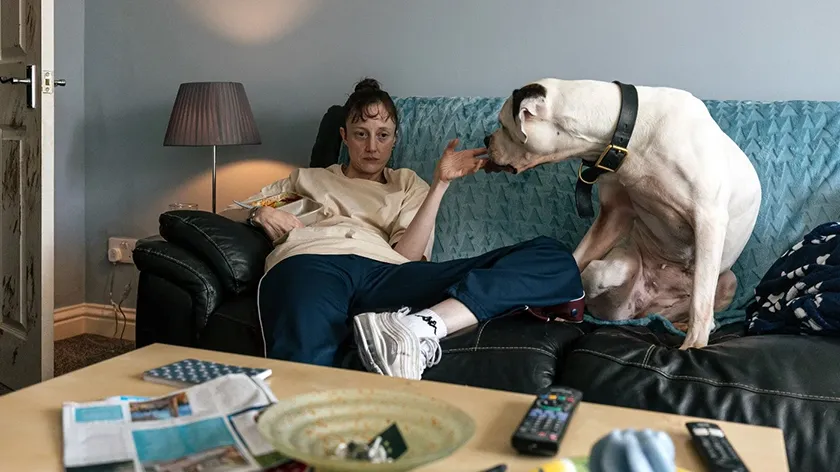 Andrea Riseborough in Dragonfly