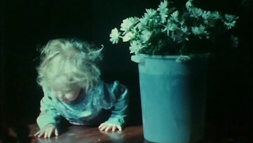 As I Was Moving Ahead, Occasionally I Saw Brief Glimpses of Beauty, one of the 10 best movies to fall in love with cinema again, according to Loud And Clear Reviews