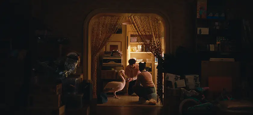 Riley Keough, Harry Melling and a pink pelican in a still from the film Butterfly Jam