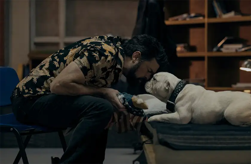 Karl Urban (Billy Butcher) and a dog are face to face in The Boys Season 5