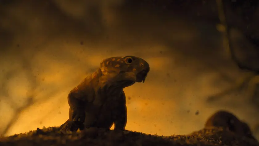 An Elph in a still from "When the Earth Burned" (Episode 101) of the NBC series Surviving Earth